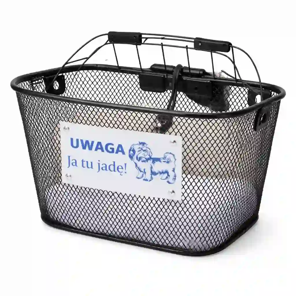 Dog Basket - akcesorium rowerowe do wynajmu